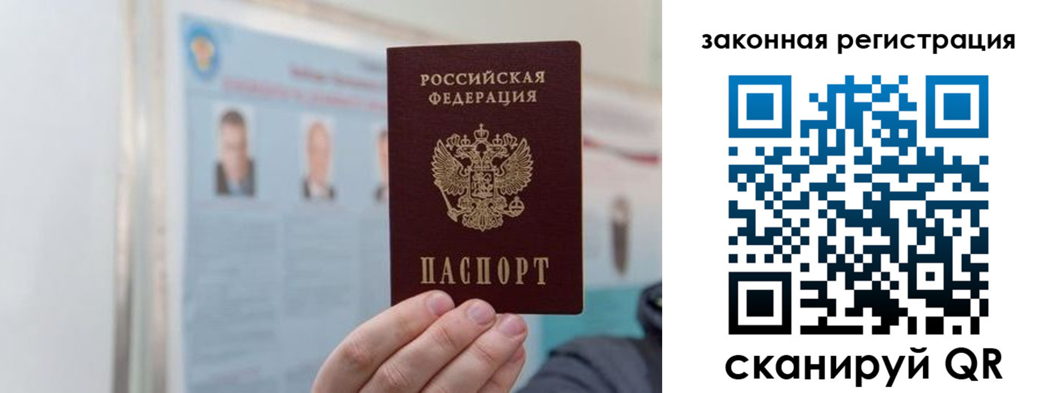 прописка законно в Заринске